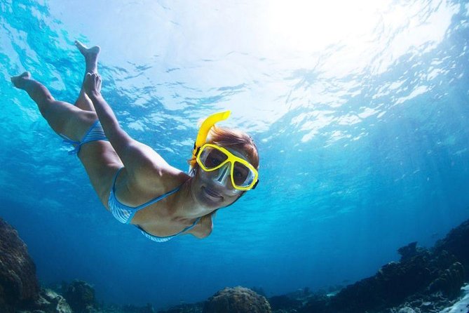 Krabi Early Bird Phi Phi Island & 4 Islands Snorkelling Tour - Dietary Requests