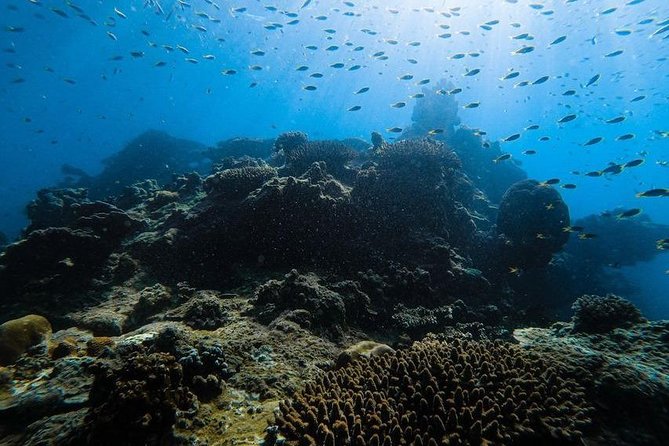 Krabi Early Bird Phi Phi Island & 4 Islands Snorkelling Tour - Itinerary Changes