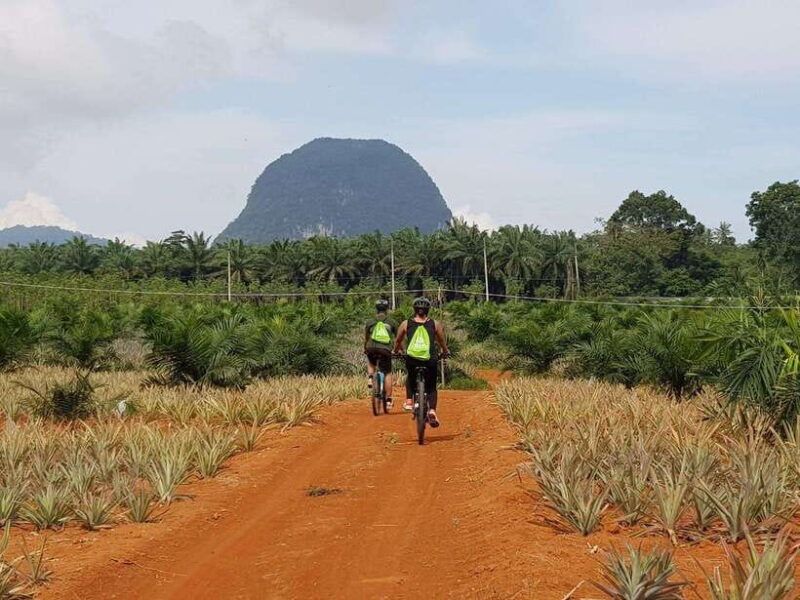Krabi: Eco-Cycling Tour With Nature, Culture, and Fun - Itinerary and Locations
