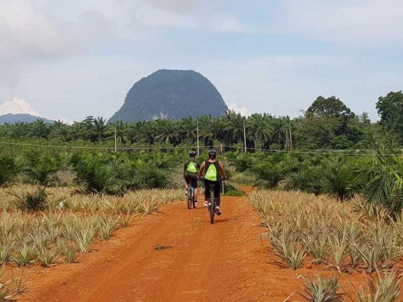 Krabi: Eco-Cycling Tour With Nature, Culture, and Fun - Connecting With Nature