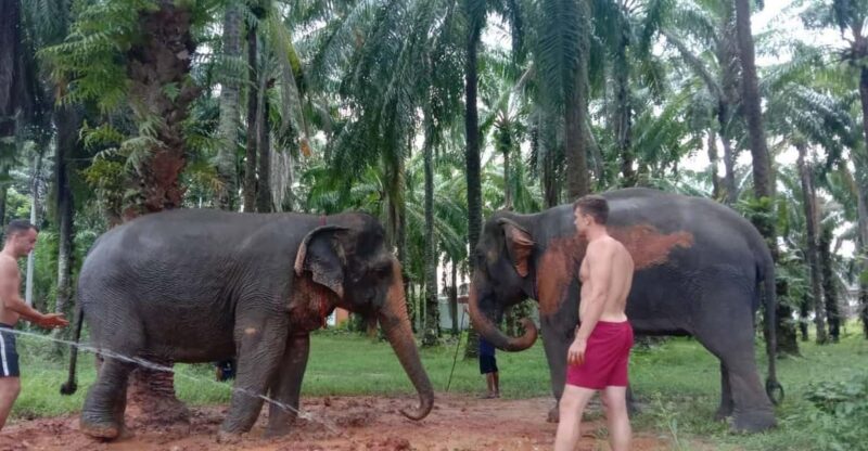 Krabi Elephant Bathing and Atv Adventure (30min/30min) - Key Points