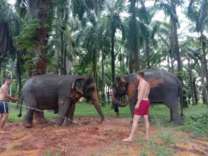 Krabi Elephant Bathing and Atv Adventure (30min/30min) - Booking Information