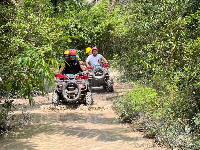 Krabi Elephant Bathing and Atv Adventure (30min/30min) - Customer Reviews