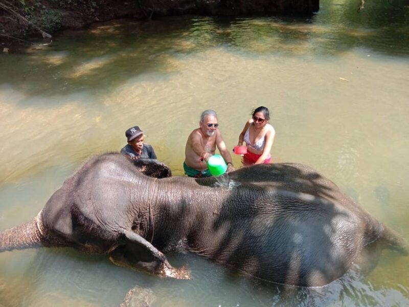 Krabi Elephant Bathing and Atv Adventure (30min/30min) - Elephant Bathing Immersion