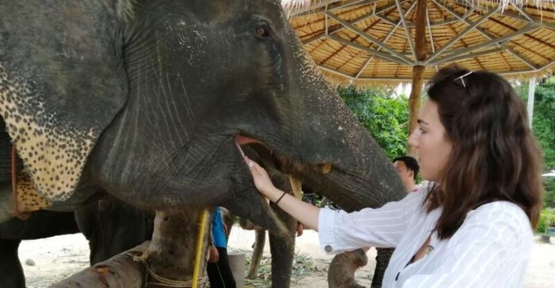 Krabi: Elephant Bathing and Huay Tho Waterfall Day Trip - Itinerary and Highlights