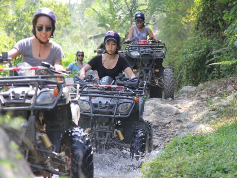 Krabi: Elephant Bathing & ATV Adventure Combo - Itinerary
