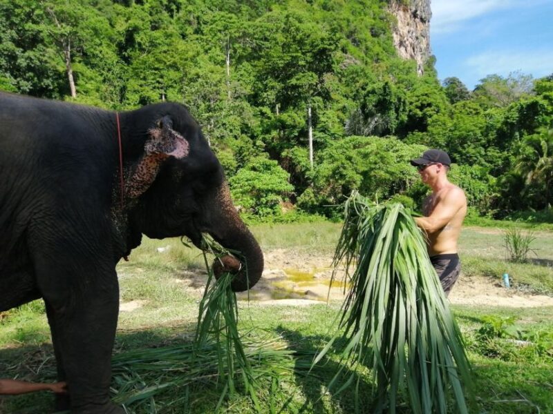 Krabi: Elephant Bathing & ATV Adventure Combo - Inclusions