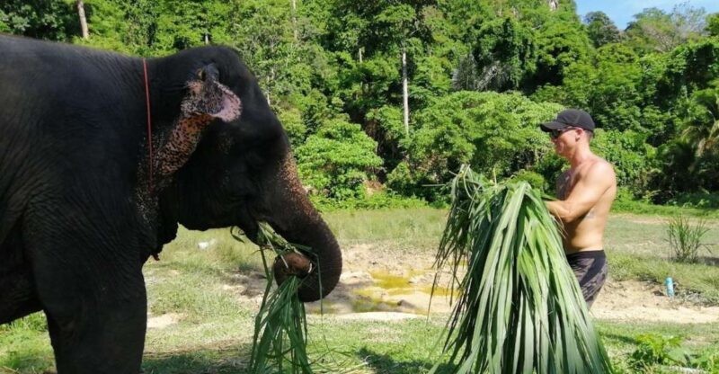Krabi: Elephant Bathing & ATV Adventure Combo - Exclusions