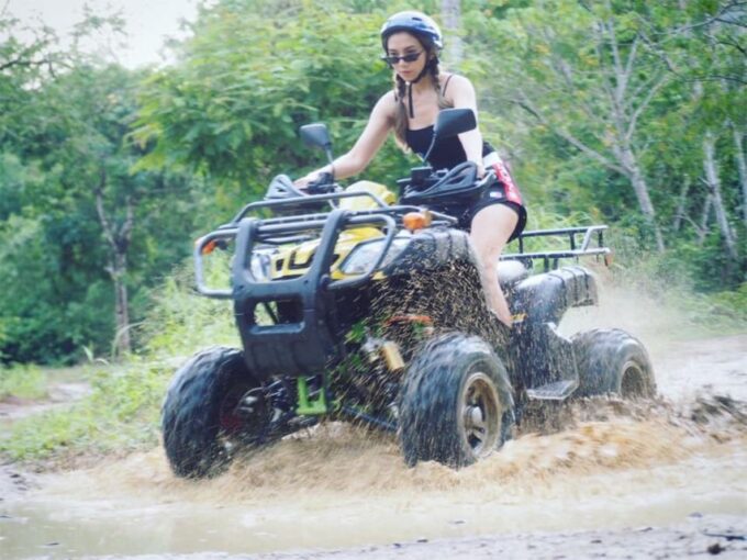 Krabi: Elephant Bathing & ATV Adventure Combo - Customer Reviews