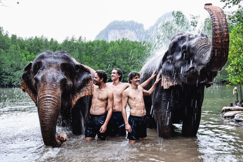 Krabi: Elephant Bathing Session at Krabi Elephant Shelter - Key Points
