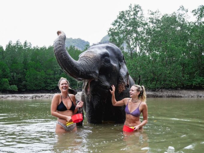 Krabi: Elephant Bathing Session at Krabi Elephant Shelter - Preparation Recommendations