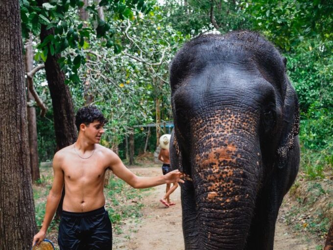 Krabi: Elephant Bathing Session at Krabi Elephant Shelter - Customer Feedback