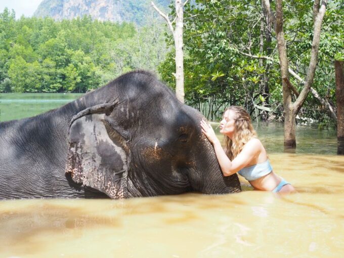 Krabi: Elephant Bathing Session at Krabi Elephant Shelter - Frequently Asked Questions