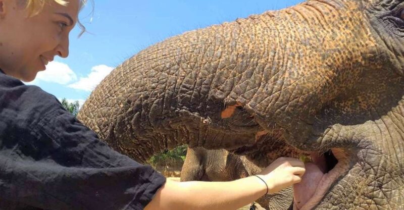 Krabi: Elephant Care House Guided Tour With Hotel Transfers - Location and Accessibility