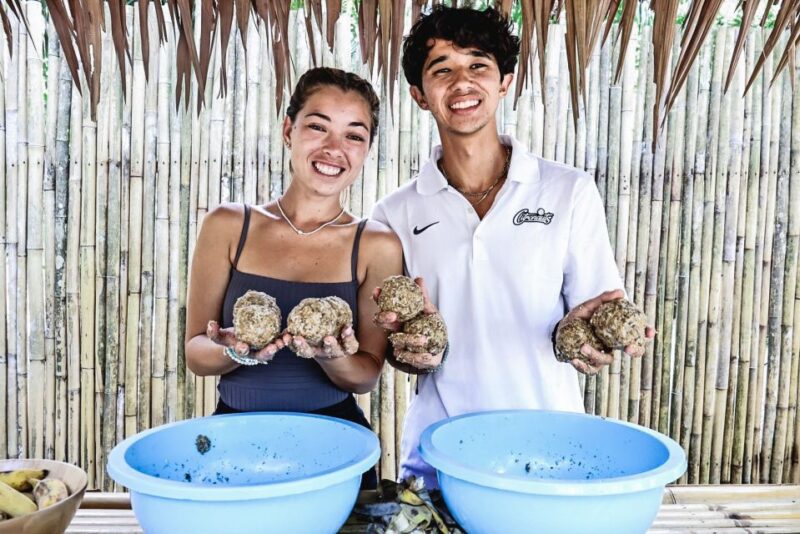 Krabi: Elephant Feeding Program - Customer Feedback