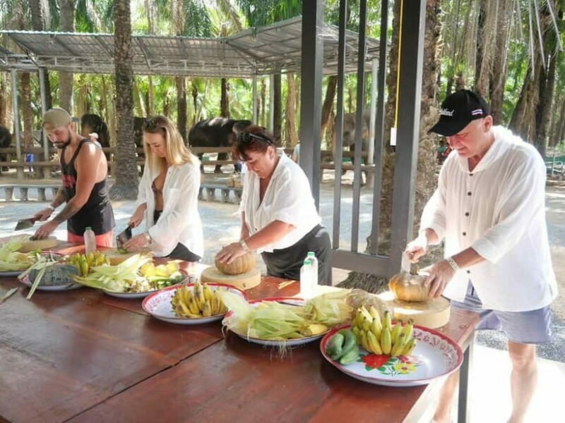 Krabi: Elephant Feeding Program with Food Preparation - What Do the Reviews Say?