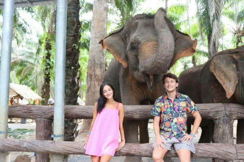 Krabi: Elephant Feeding Program with Food Preparation - Who Should Consider This Tour?