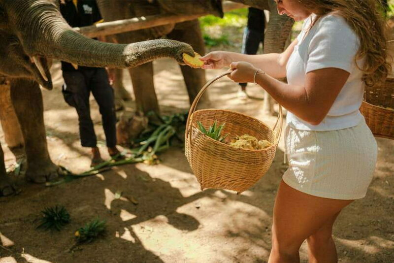 Krabi: Elephant Sanctuary (near Ao Nang) Visit - Key Points