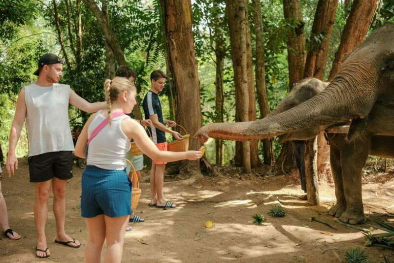 Krabi: Elephant Sanctuary (near Ao Nang) Visit - An Honest Look at the Experience