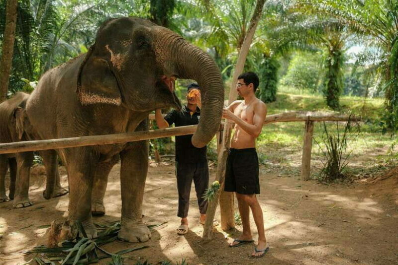 Krabi: Elephant Sanctuary (near Ao Nang) Visit - Final Thoughts: Who Is This Tour For?