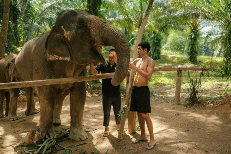 Krabi: Elephant Sanctuary (near Ao Nang) Visit - Frequently Asked Questions