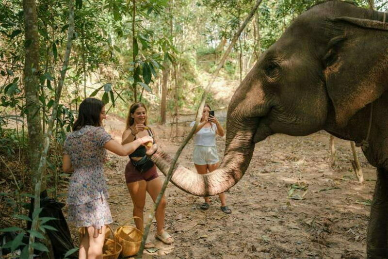 Krabi: Elephant Sanctuary (near Ao Nang) Visit - In The Sum Up