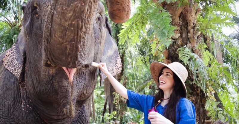 Krabi: Elephant Shelter and Khaothong Hills (Private Tour) - Hands-on Elephant Feeding and Interaction