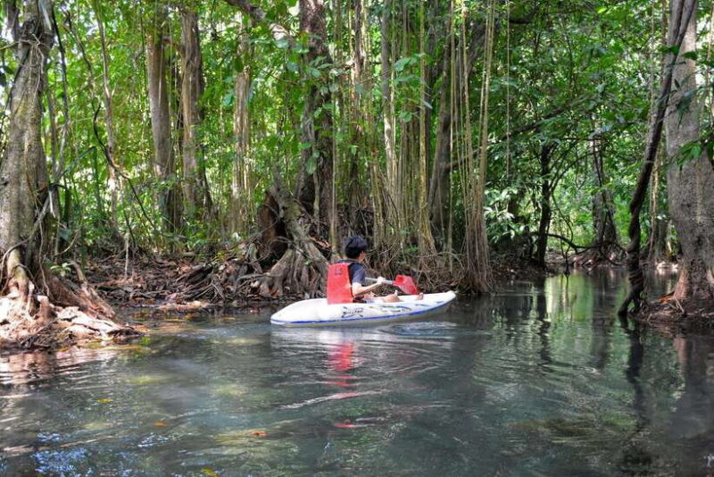 Krabi: Emerald Cool-Down & Kayak Odyssey in Din Daeng Canyon - Key Points