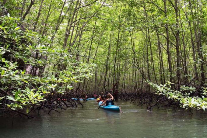 Krabi: Emerald Cool-Down & Kayak Odyssey in Din Daeng Canyon - Kayaking Through Ao Thalane Bay