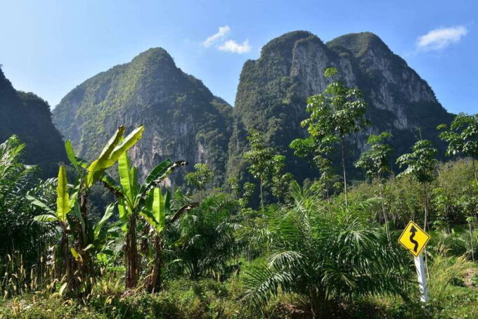Krabi: Emerald Cool-Down & Kayak Odyssey in Din Daeng Canyon - Frequently Asked Questions