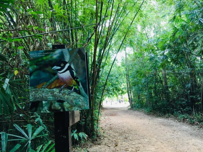 Krabi: Emerald Pool and Hot Spring Waterfall With ATV Riding - Customer Reviews
