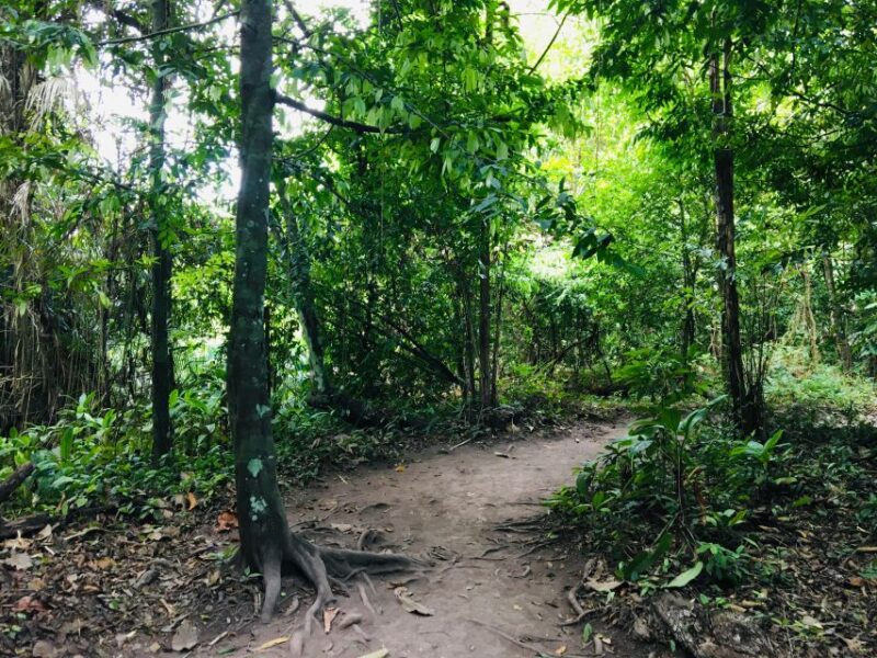 Krabi: Emerald Pool and Hot Springs Waterfall Half-Day Trip - Highlights