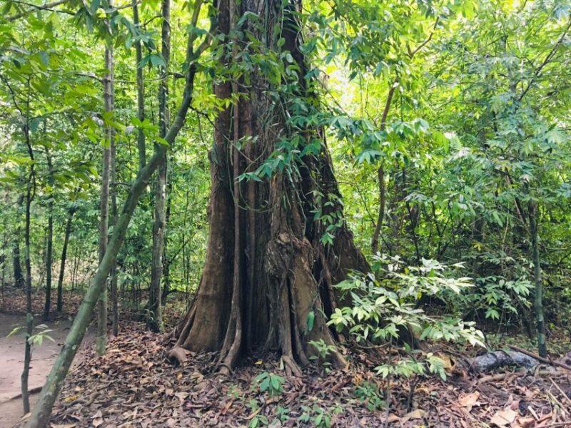Krabi: Emerald Pool and Hot Springs Waterfall Half-Day Trip - Participant Information