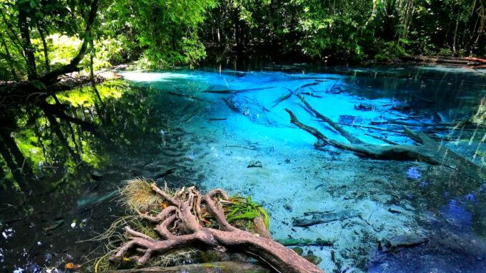Krabi: Emerald Pool and Hot Springs Waterfall Half-Day Trip - Cancellation Policy