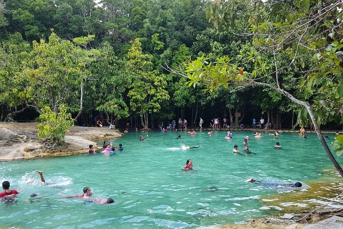 Krabi Emerald Pool, Hot Spring and Tiger Temple - Reviews and Feedback