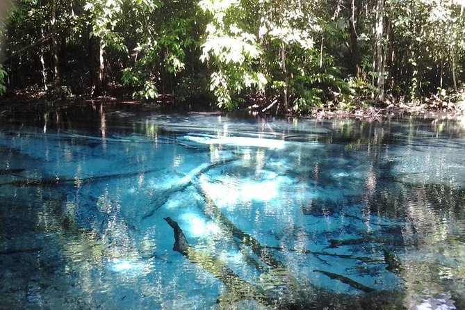 Krabi Emerald Pool, Hot Spring and Tiger Temple - What to Expect