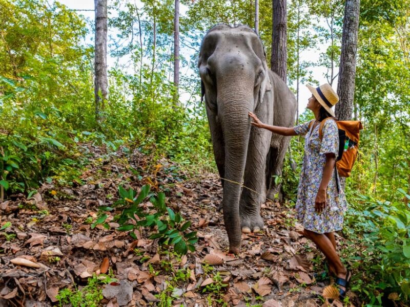 Krabi: Ethical Elephant Care Experience With Hotel Transfer - Splashing and Bathing the Elephants