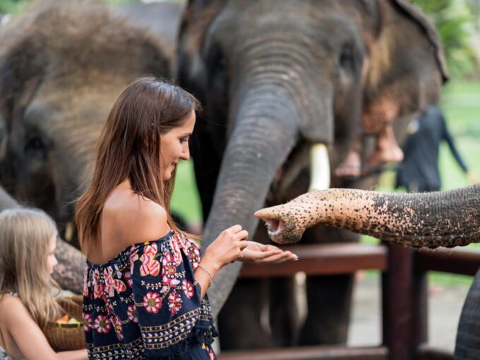 Krabi: Ethical Elephant Care Experience With Hotel Transfer - Observing Elephant Play and Interaction