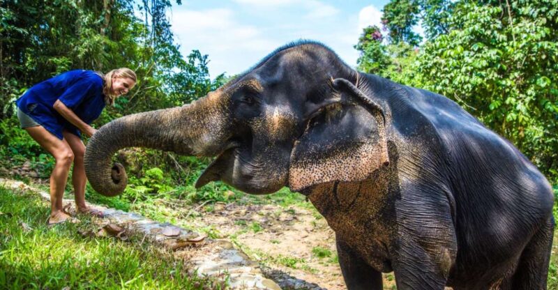 Krabi: Ethical Elephant Sanctuary Experience - Itinerary and Activities