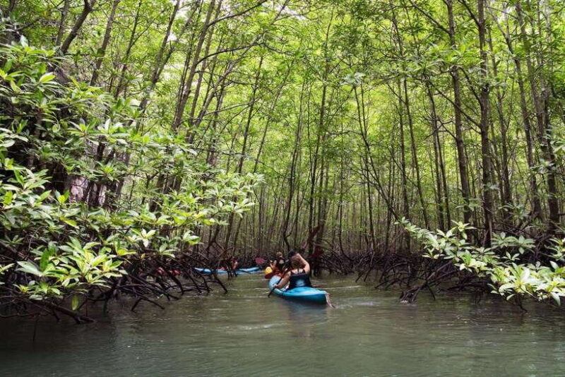 Krabi: Golden Hour Kayaking in Din Daengs Mangrove Maze - Key Points