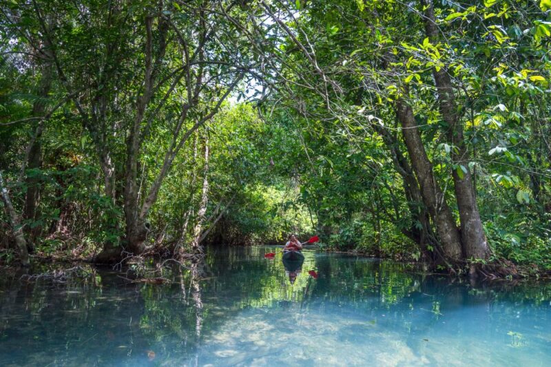 Krabi: Half-Day Blue Lagoon Kayaking at Klong Srakaew & ATV - Customer Ratings and Feedback