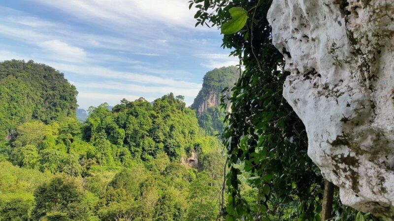 Krabi: Half-Day Zip Line Adventure - Key Points