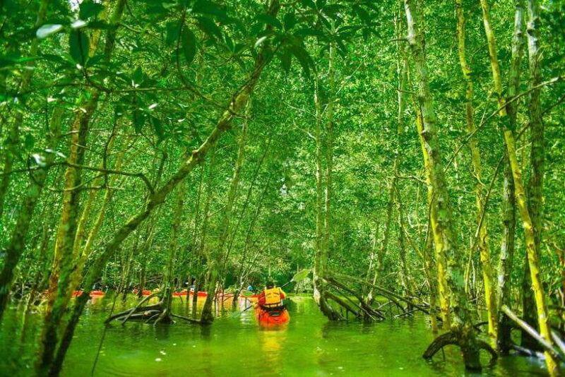 Krabi: Hidden Mangrove Kayaking Tour With Optional Extras - Itinerary and Locations