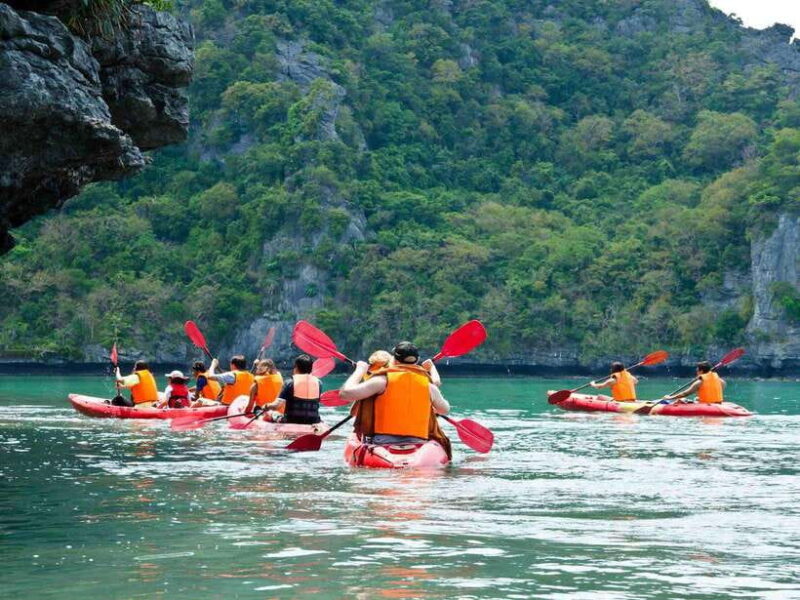 Krabi: Hidden Mangrove Kayaking Tour With Optional Extras - Highlights and Activities