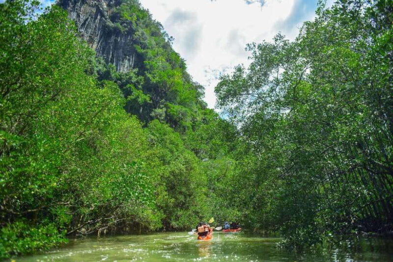 Krabi: Hidden Mangrove Kayaking Tour With Optional Extras - Customer Reviews