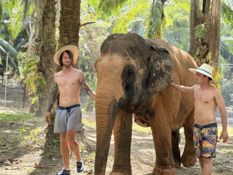 Krabi: Highlights Tour With Krabi Elephant Shelter - Booking and Cancellation Policy