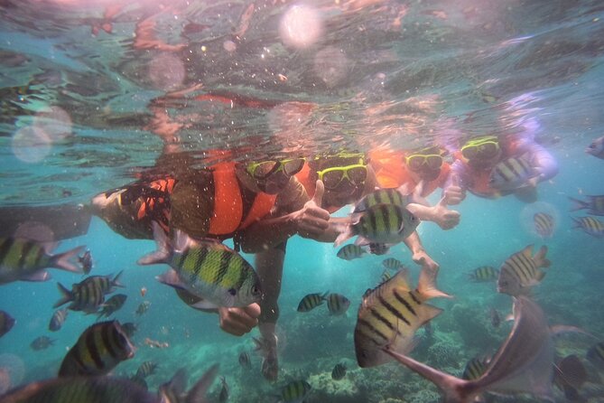 Krabi Hong Islands and Snorkeling by Shared Boat - Booking and Cancellation Policy