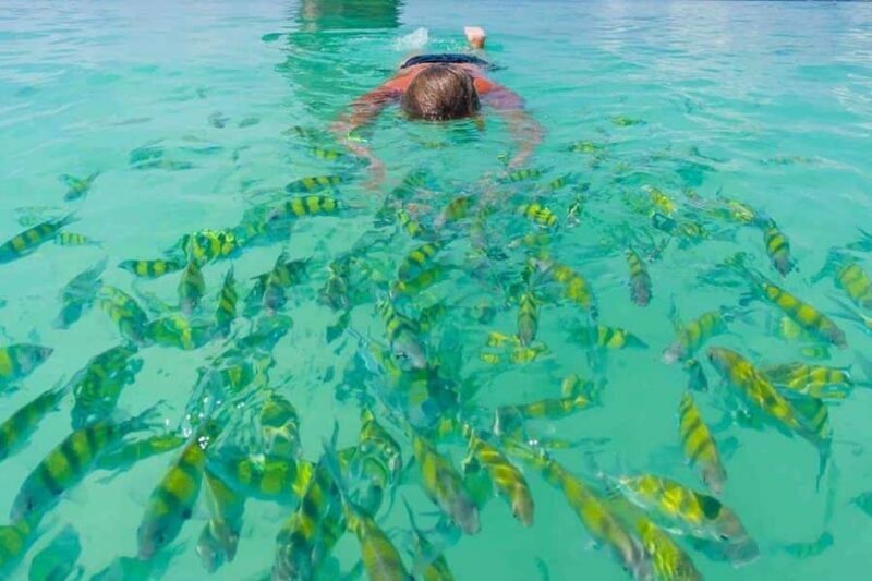 Krabi: Hong Islands by Longtail Boat with Lunch & Snorkeling - The Sum Up: Is This Tour Worth It?