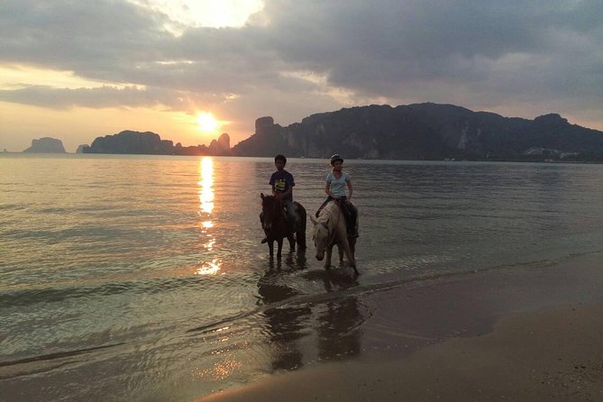 Krabi Horse Riding at Ao Nam Mao Beach - Highlights and Feedback