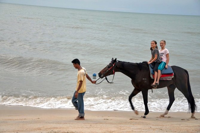 Krabi Horse Riding at Ao Nam Mao Beach - Overall Rating